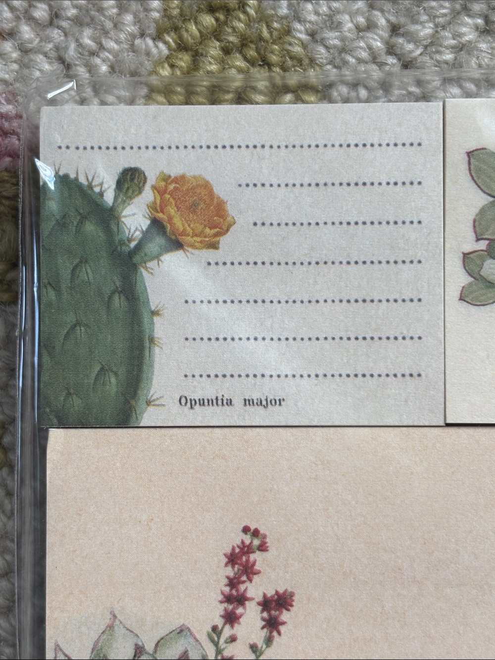 Cavallini &Co. Sticky Notes Succulents NWT 300 count 5 separate sticky note pads - Picture 4 of 16